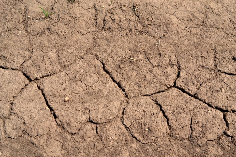 Free textures with cracks