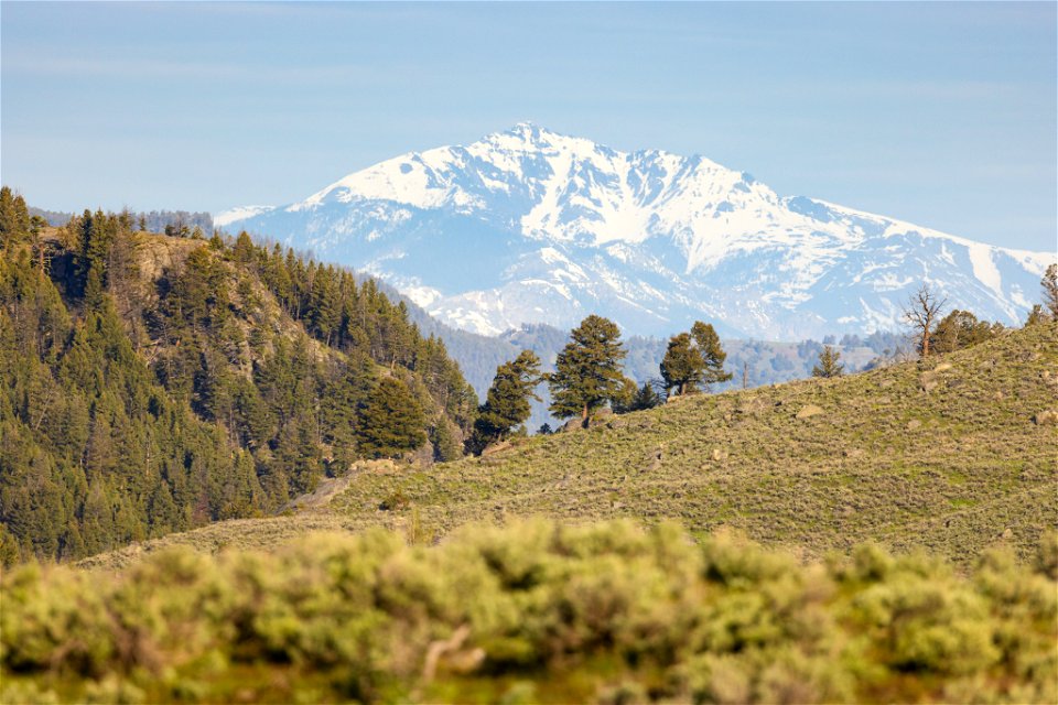 Electric Peak from Lamar Valley