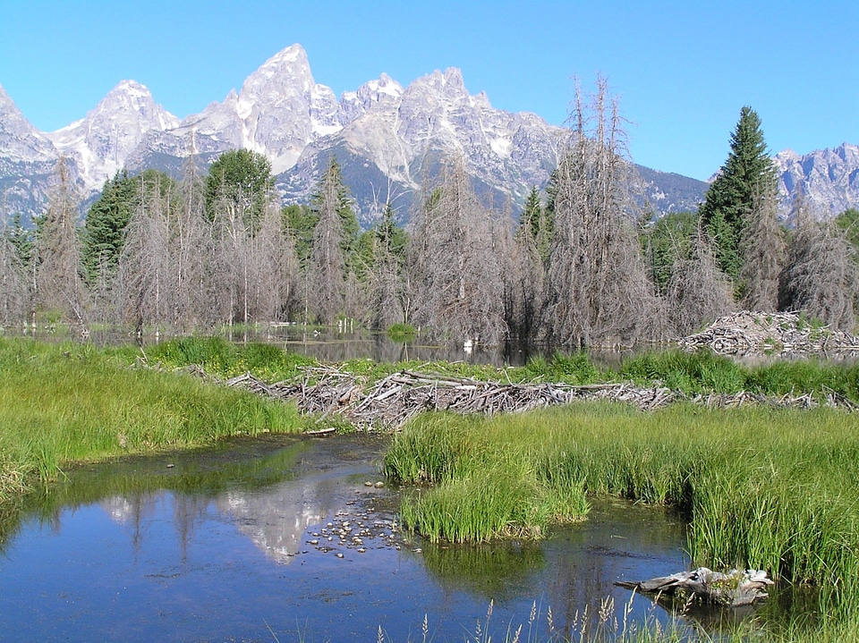 Schwabachers Landing