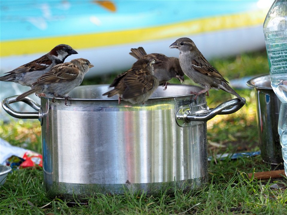 why you shouldn't leave your food outside :)