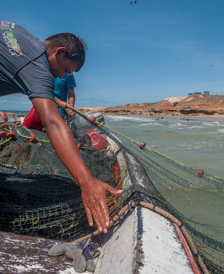 Fish in el Manglillo