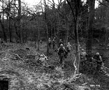 SC 336772 - U.S. infantrymen of 1st Bn., 4th Infantry Div., U.S. First Army, advance through Staats Forest towards Gurzenich, Germany. 30 November, 1944. photo