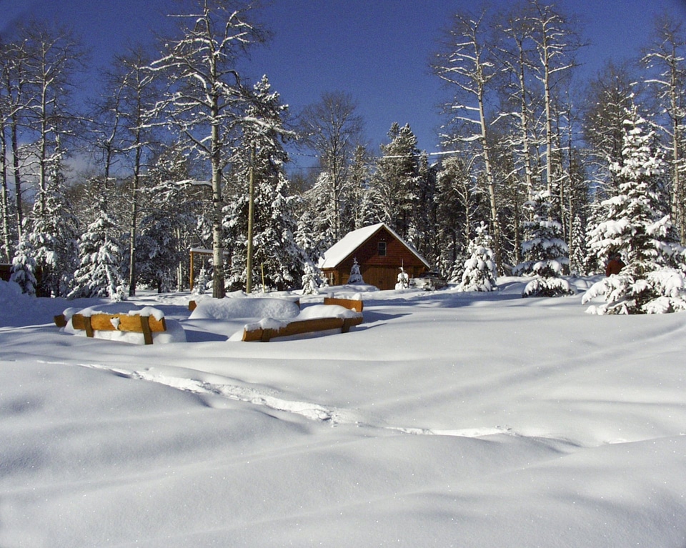 wooden house in winter forest photo