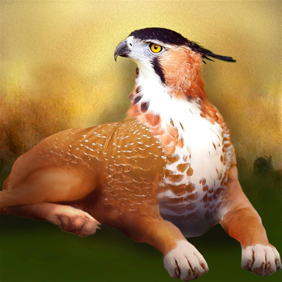Birdog