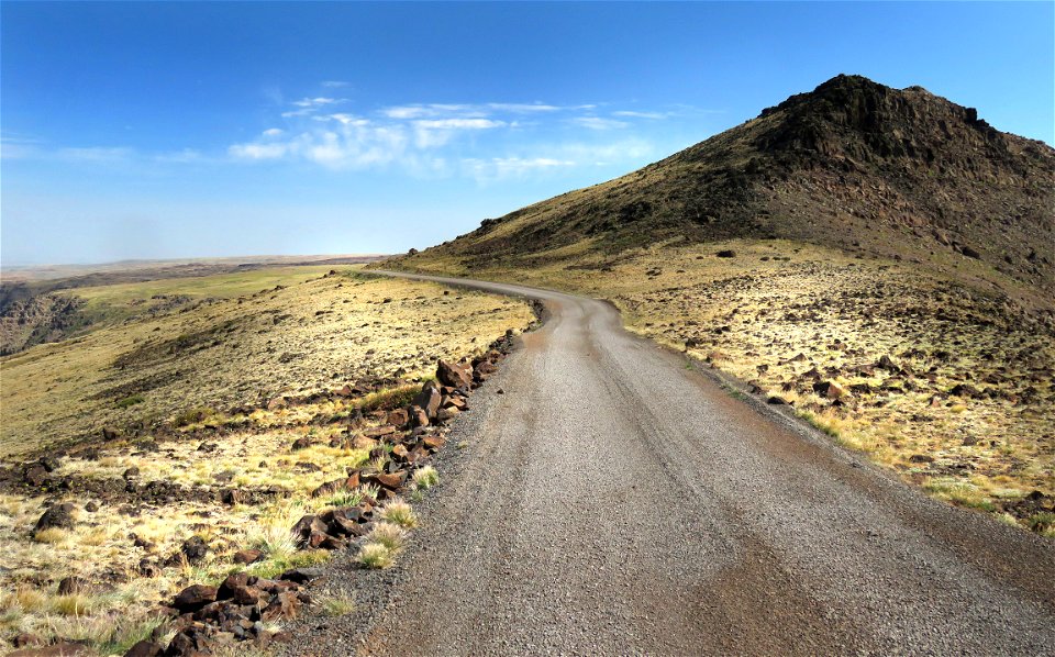 3004 - STEEN'S MT, road and meadows near top (8-3-2021) 9000-9600 ft, harney co, or -06