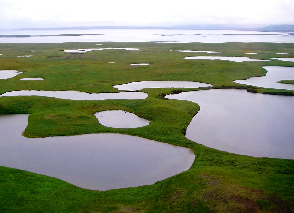 Izembek Wilderness photo