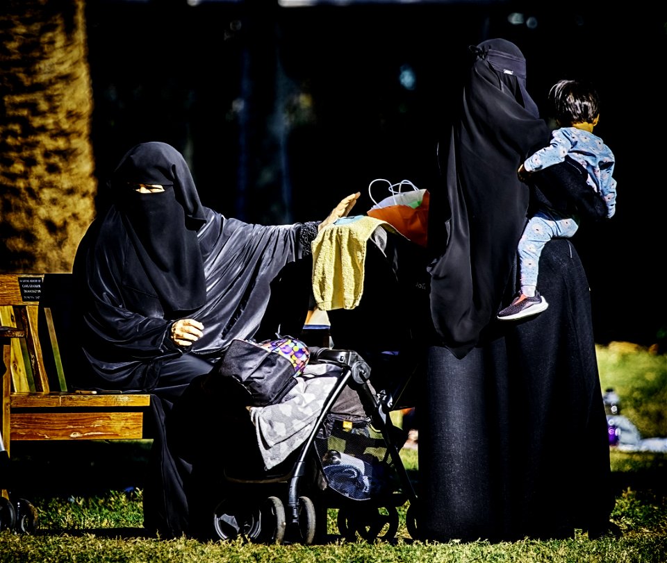 Family Picnic photo