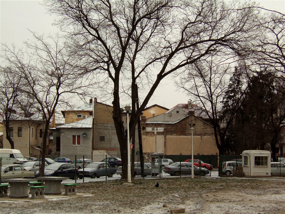 parcTurda_20070225_9