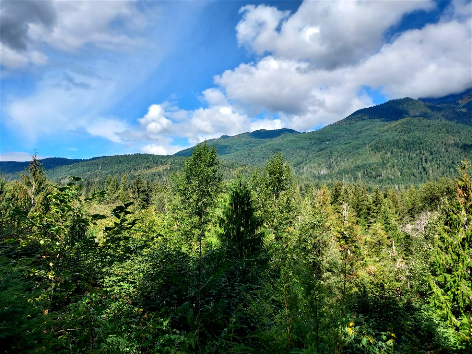 View from White Chuck Overlook, Mt. Baker-Snoqualmie National Forest. Photo by Anne Vassar Sept. 13, 2021.