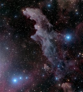 IC 2118 - Witch Head Nebula (2023) photo