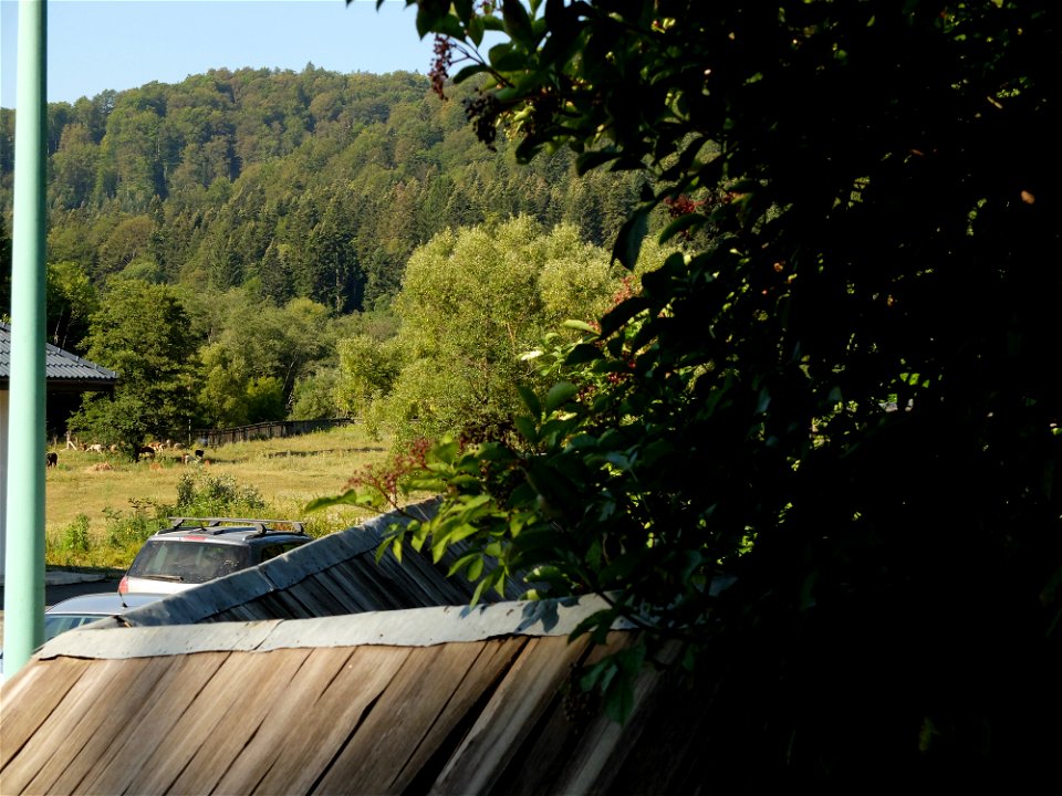 manast_Secu2015_0809_081842