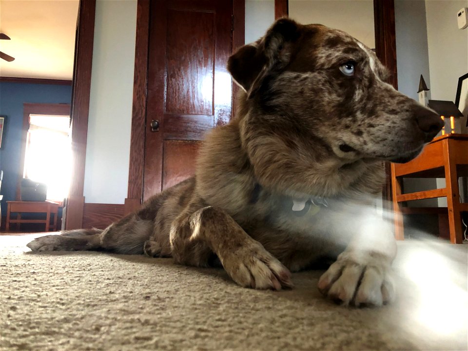 Did A Ghost Pass By?