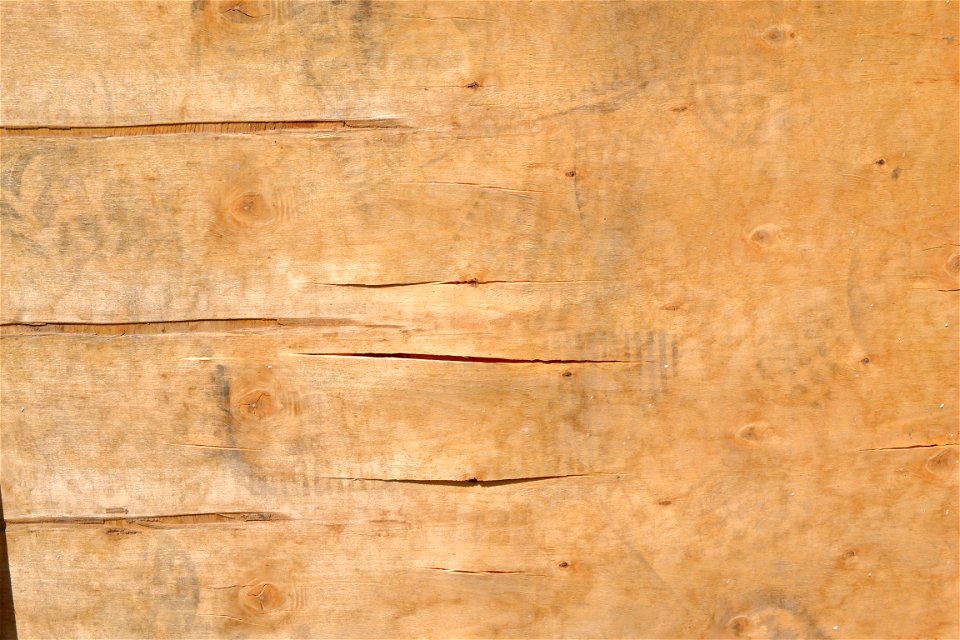 Texture