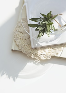 Sage herb in a glass