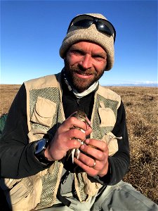 About to release a banded shorebird