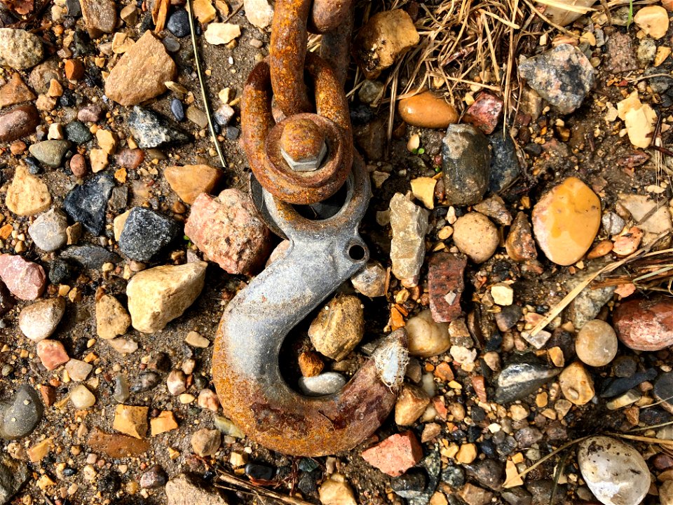 2021/365/239 Da Hook