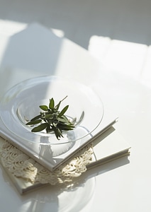 Sprigs of fresh sage tumbling in glass