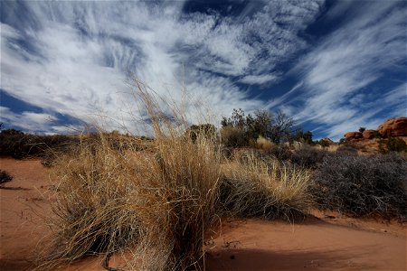 Klondike Bluffs
