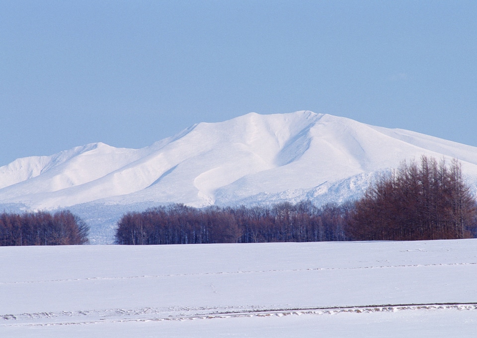 Winter trees in mountains