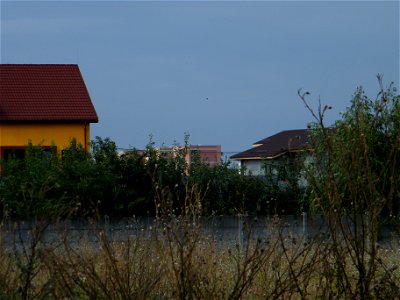 orizont2010_0830_090130