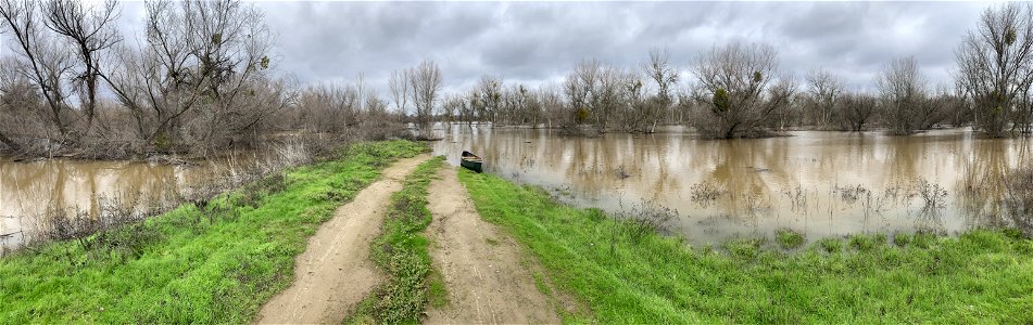 Flooded riparian brush rabbit habitat