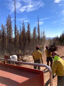 Chipping BigSwampFire 20220831