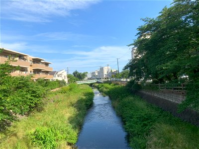 Kurome River in Shinhocho, Higashikurume-shi photo
