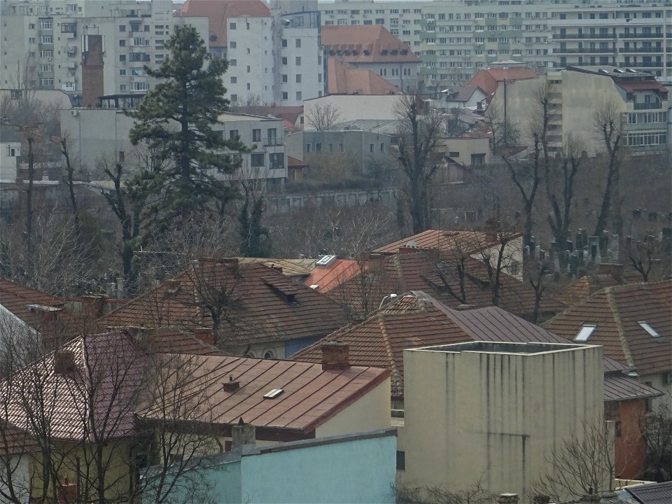 testing Sony superzoom in Abrud (4)