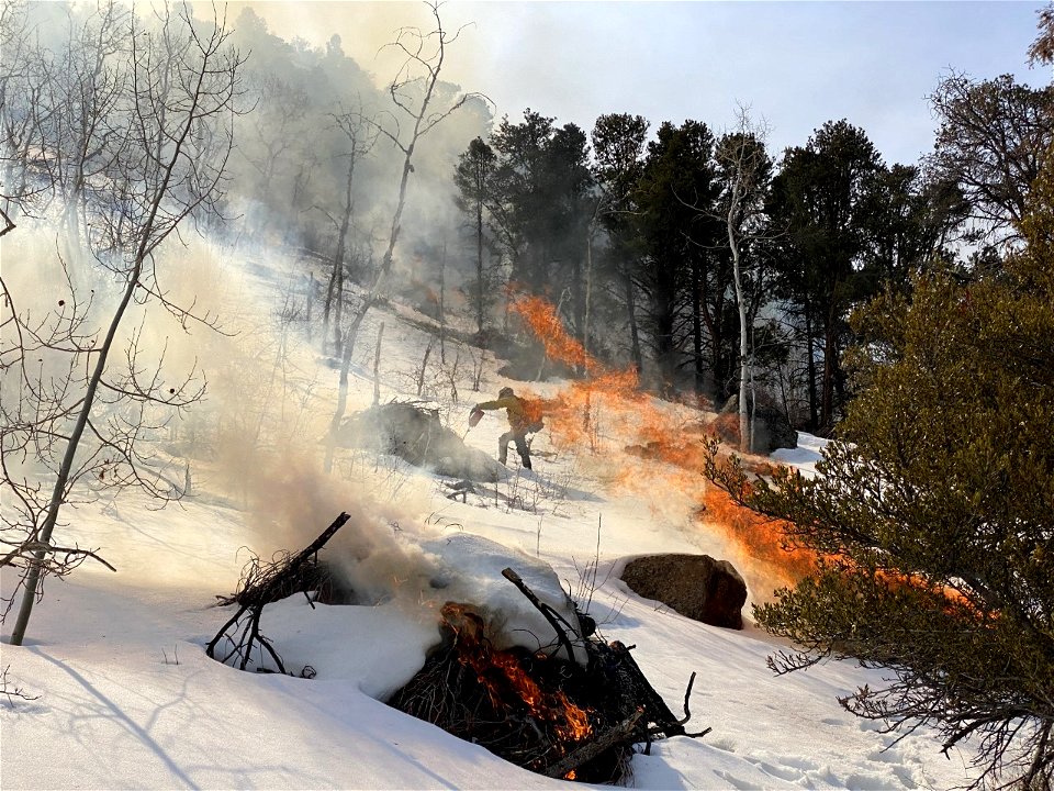 2022 BLM Fire Employee Photo Contest Category - Fuels Management