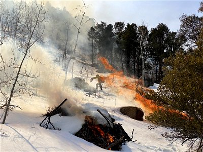 2022 BLM Fire Employee Photo Contest Category - Fuels Management photo