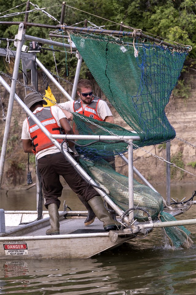 Invasive Carp Research on the James River in South Dakota. Photo: Sam Stukel (USFWS)