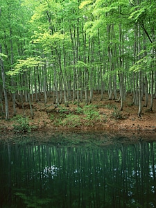 Clear river with rocks leads towards mountains