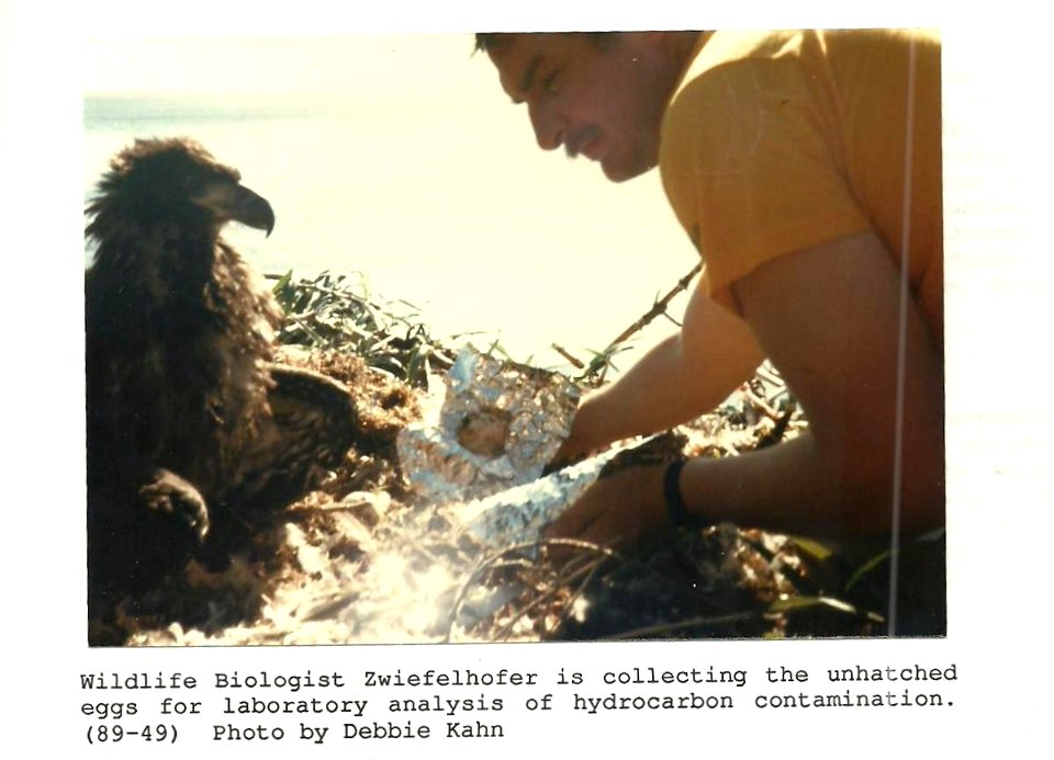 (1989) Close Encounters With Eagles