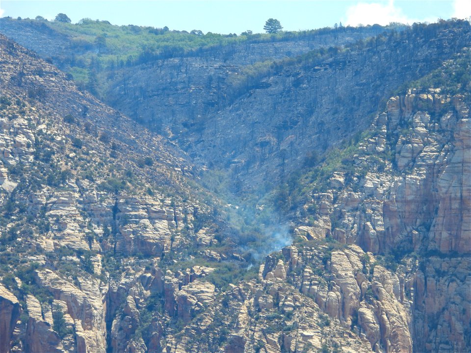 Committee Fire July 19, 2022