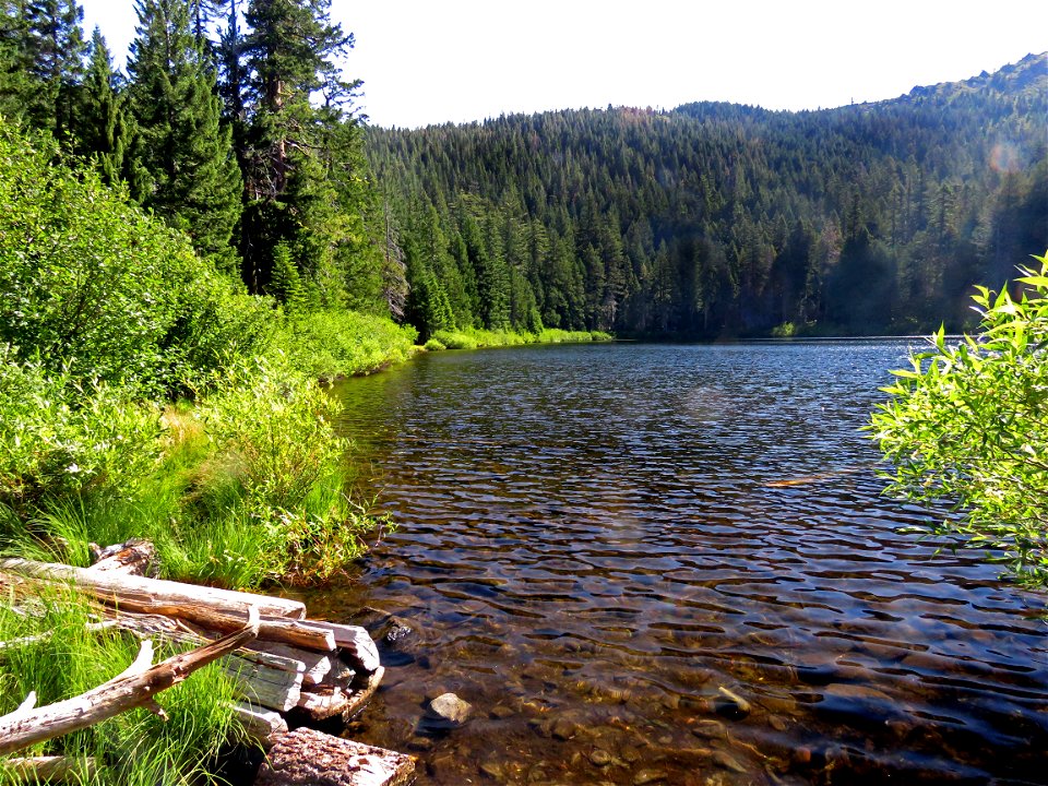 SMITH RIVER NAT REC AREA, DEL NORTE CO, CA (7-21-2021) SANGER LAKE