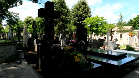 Bellu_cemetery (8) photo