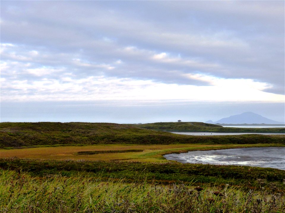 Fall colors at Izembek