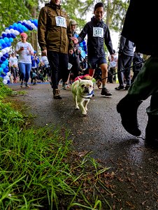 PXL_20220612_183108239_3