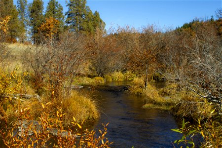 Located inside and adjacent to the Cascade Siskiyou National Monument and the Soda Mountain Wilderness, Jenny Creek is located in southwestern Oregon
