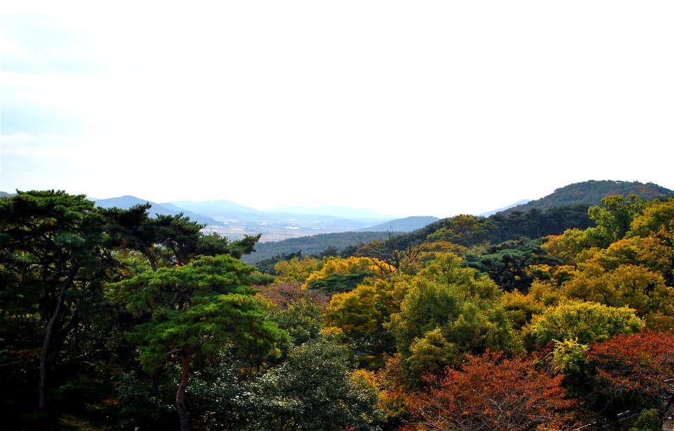 Deoksungsan Mountain