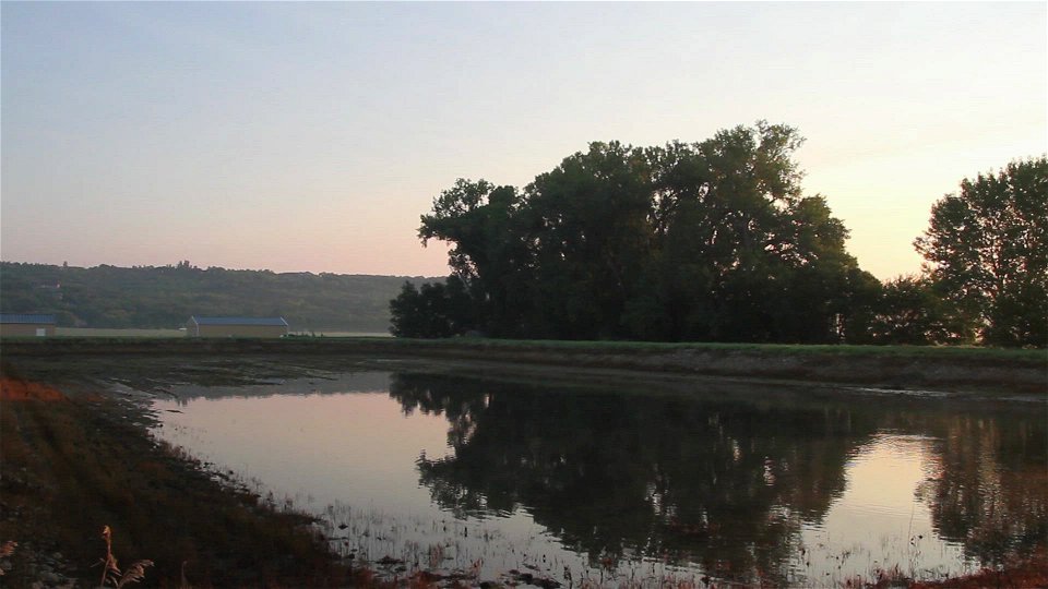 Ponds During the Summer at Gavins Point National Fish Hatchery photo