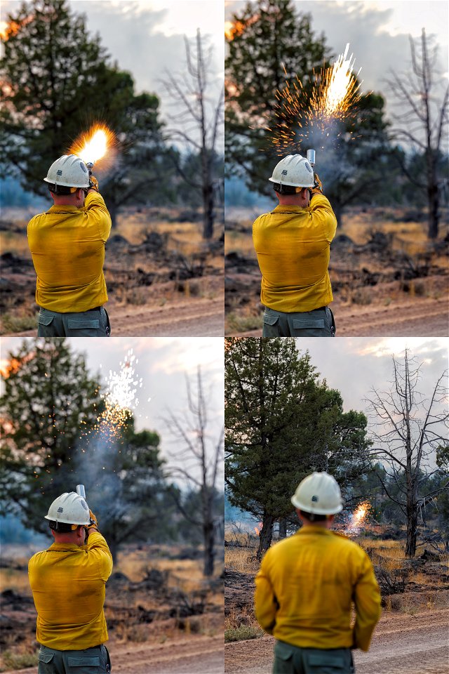 2022 BLM Fire Employee Photo Contest Category - Crews photo