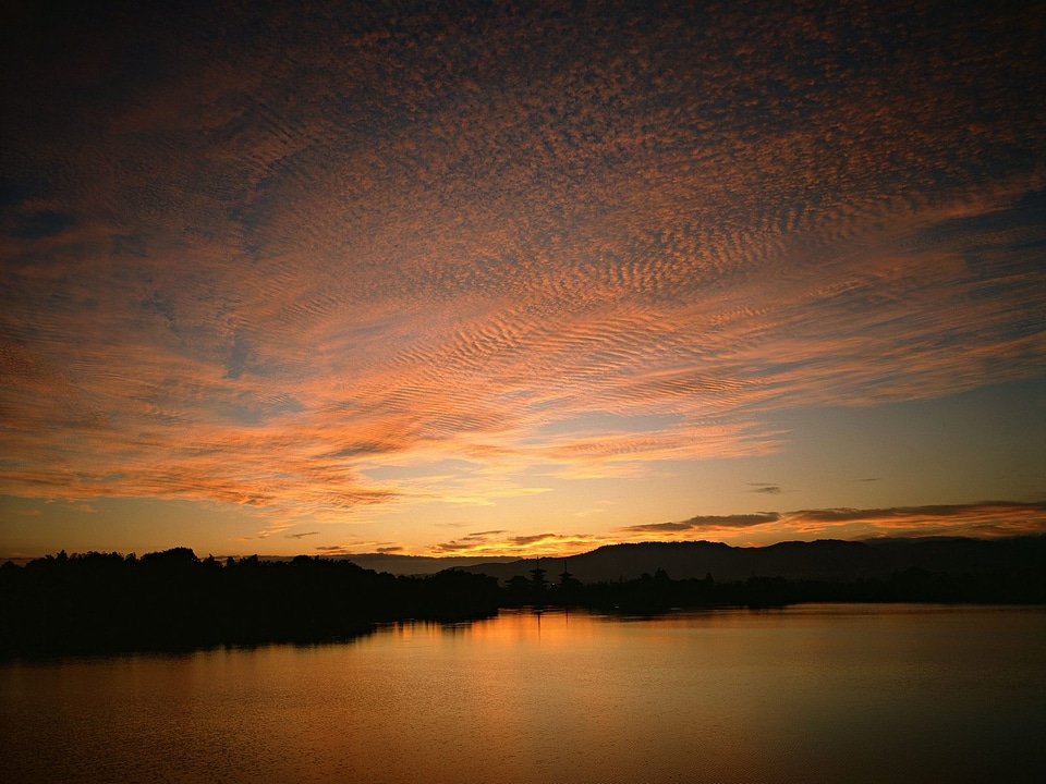 Landscape with sunset at the seashore. Grass silhouette