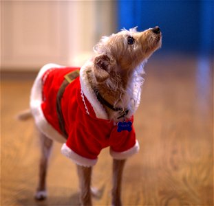 I better get a treat out of this.