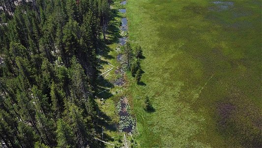 0013-A historic ditch line shows on the east side of Big Marsh, where restoration has disrupted the ditches to limit de-watering.
