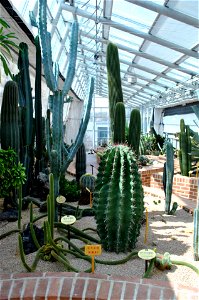 Younginsan Park Spring 2023