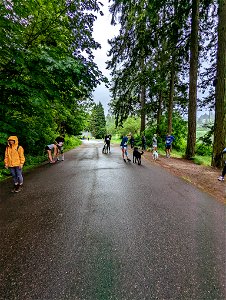 PXL_20220612_181402071_2