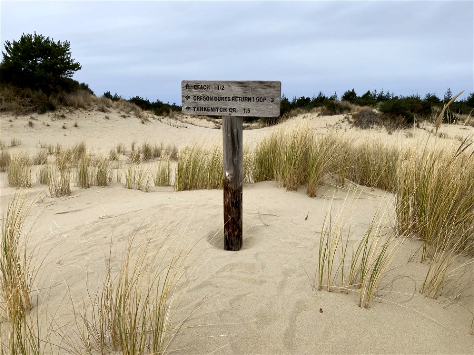 Siuslaw Oregon Dunes Prescribed Burn 2022 photo