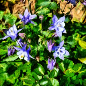 floral_DAP_Camille Valenciannes