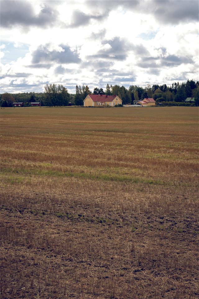 Finnish farm